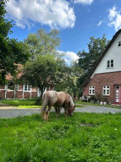 Haus Adele - 2