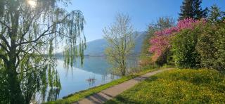 Il Sole Nel Lago - Galbiate - 7