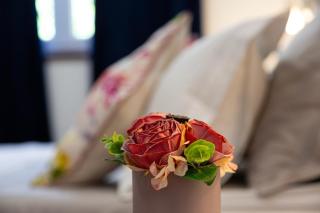 Karlo with private pool - 7