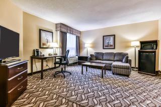 Comfort Inn & Suites Ambassador Bridge - 1