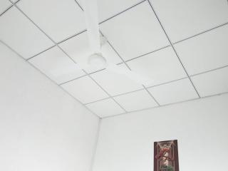 D Mount Villa - 2