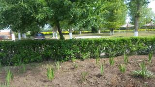 Camping Palace Venus - 6