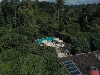 The Craft Hotel Ubud - 2