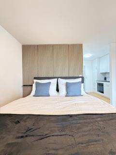 HRE Apartments Lago Rorschach - 2