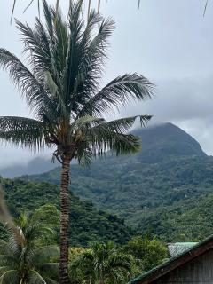 D Mountain Beach Resort - 1