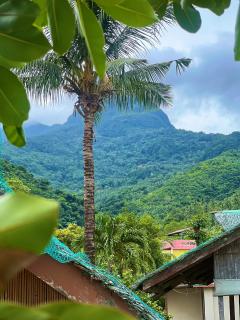 D Mountain Beach Resort - 3