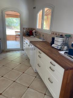 Casuarina - 8