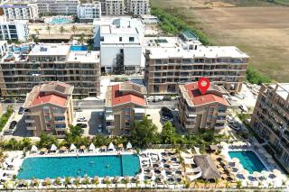 Pool View Palm 002 - Happy Rentals - 0