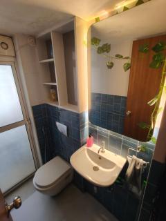 Premium 1 Bhk furnished flat - 7