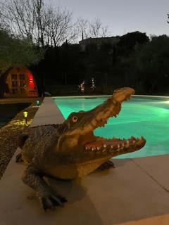 Roulotes de charme avec piscine chauffée et bain nordique à Uzès - 8