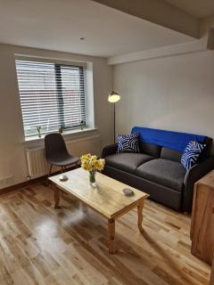 Stylish ground floor one bedroom townhouse - 5