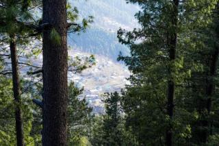 Lemon Lodges Nathiagali - 8