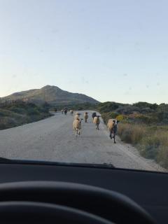 Stay with Locals in Zakros - 3