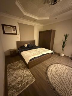 ستوديو بغرفة نوم وصالة - 3