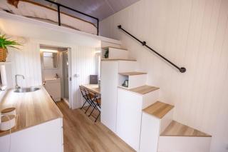 Echidna by Tiny Away - 3