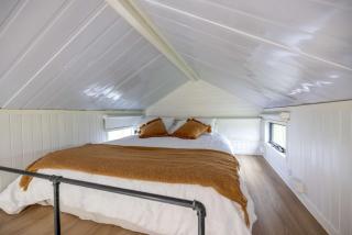 Echidna by Tiny Away - 7