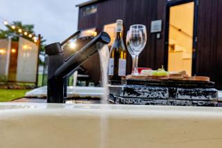 Echidna by Tiny Away - 2