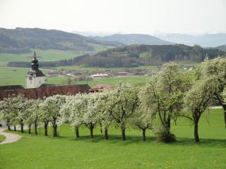Benediktinerstift Michaelbeuern - 1