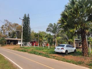 Jungle zone pai - 7