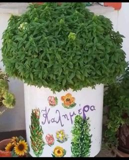 Kostas luxury little suites - 7