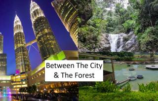 Ryokan AI Japan Friend - Free Breakfast, Hotsprings & Massage - 9