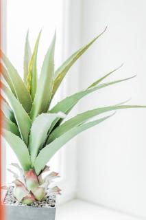 ZEUS Design Apartments Herz - Vienne - 8