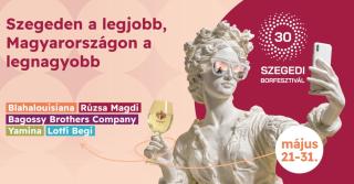 Downtown Dream Apartmans - Szeged - 3