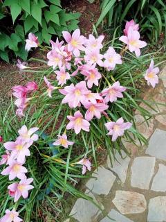 Çıralı Akkelle Apart - 5