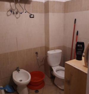 Apartament Tradita - 3
