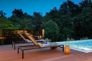Luxury Villa Nicol Tireli - by Istrabook - 5