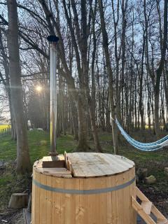 Bubbeltent in bos met hottub, 20m Amsterdam - 7