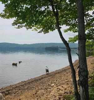 Spa & Relaxation at Lake Cameron - BORD DE L'EAU - 8