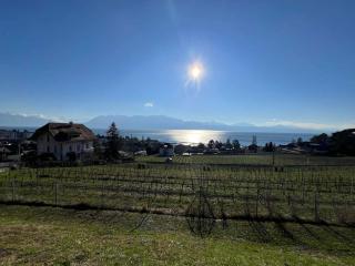 Superb Studio in Lausanne! - 0