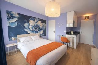 M124 Joli studio rénové à Annemasse - 6
