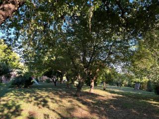 Agriturismo Collina Dei Fagiani - 6