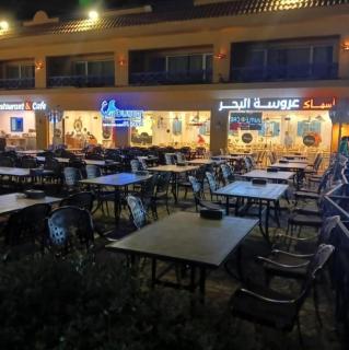 Porto Elsokhna Pyramids - 7