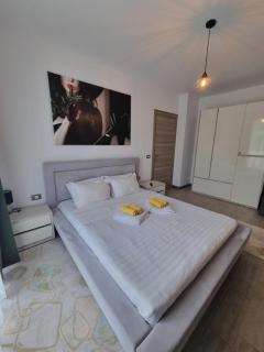 Apartament Simina by ALZ - 0