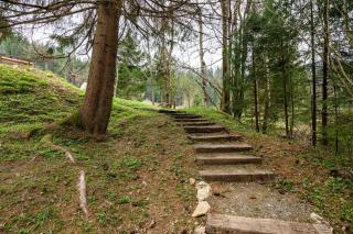 Alpine Daffodil Retreat - 6