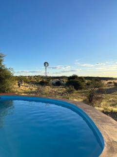 Boscia African Farm - 7