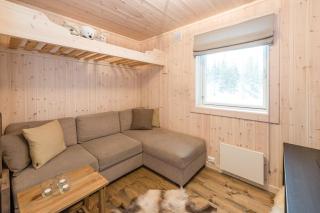Mountain Cabin With Private Terrace By Mjogetjønn - 1