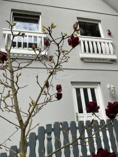 Waldtraum Wandlitzsee - 5