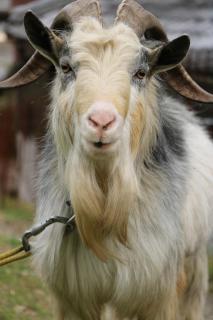 Bob's house - Vacation STAY 42876v - 5