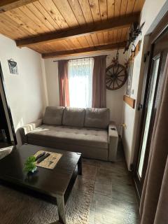 Vila Golden Queen Zlatibor - 1