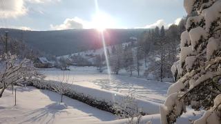 Haus Wiesengrund - 9