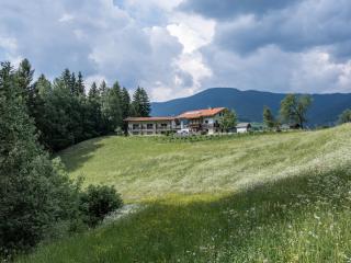 Bnb Lettnerhof Terrace Family Suite - 7