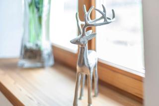 Ferienwohnung z'Dandlberg - 2