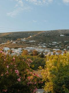 Adelfia Studios - Paroikia - 4
