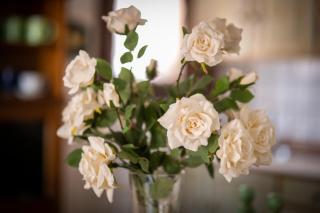 Appartamento Tulipano - 4