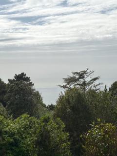 T2 vue mer entre Porticcio et Agosta - 9
