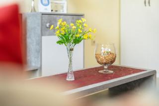 Ferienwohung Marion - Hohnstein - 1